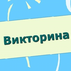 Подведены итоги онлайн – викторины «Добровольчество это…», которая прошла в рамках IX областного Слета добровольцев «Лучшие добровольческие практики-2020»