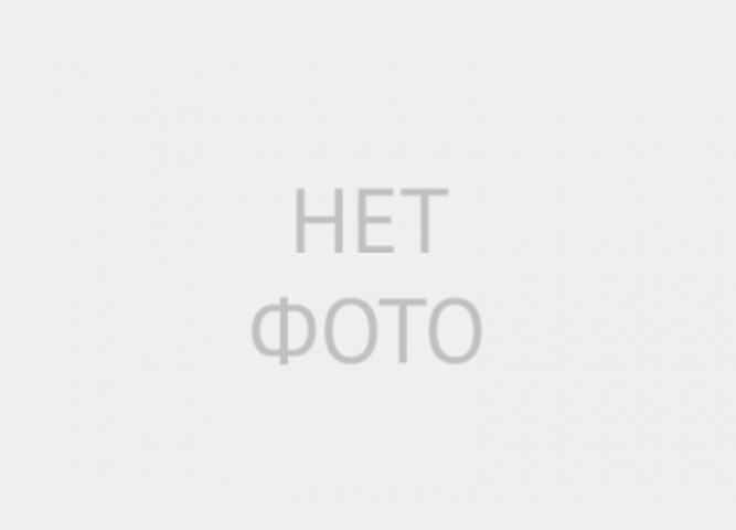 профилактический квест #ЗОЖикPROтебЯ